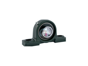 CAJA CON RULEMAN UCP204 BBC-R